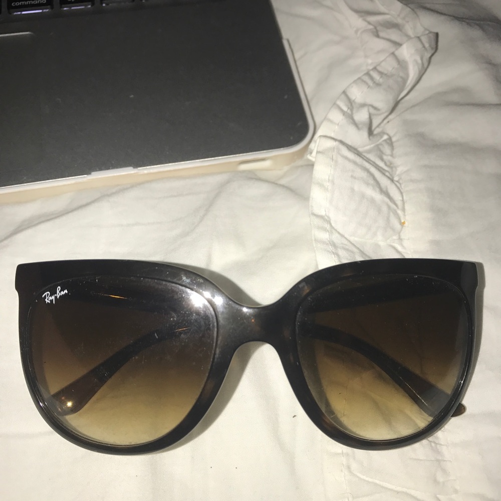 Rayban cats